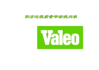 法雷奥VAleo特殊要求(Chinese)