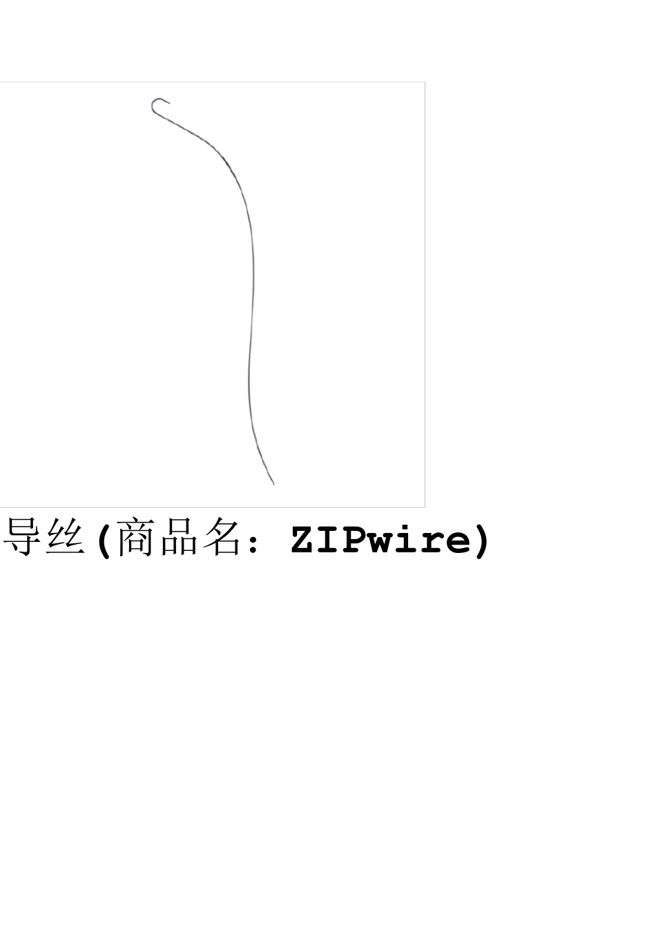 波士顿科学主流医疗产品_第2页