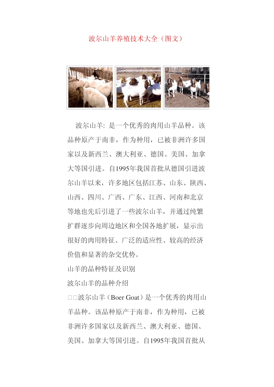 波尔山羊养殖技术_第1页