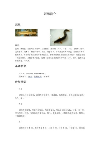 泥鳅养殖技术资料