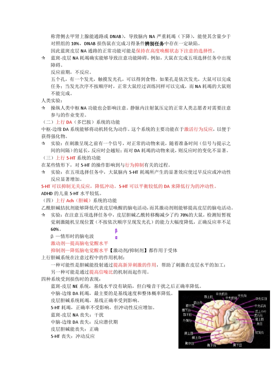 注意的神经机制_第2页