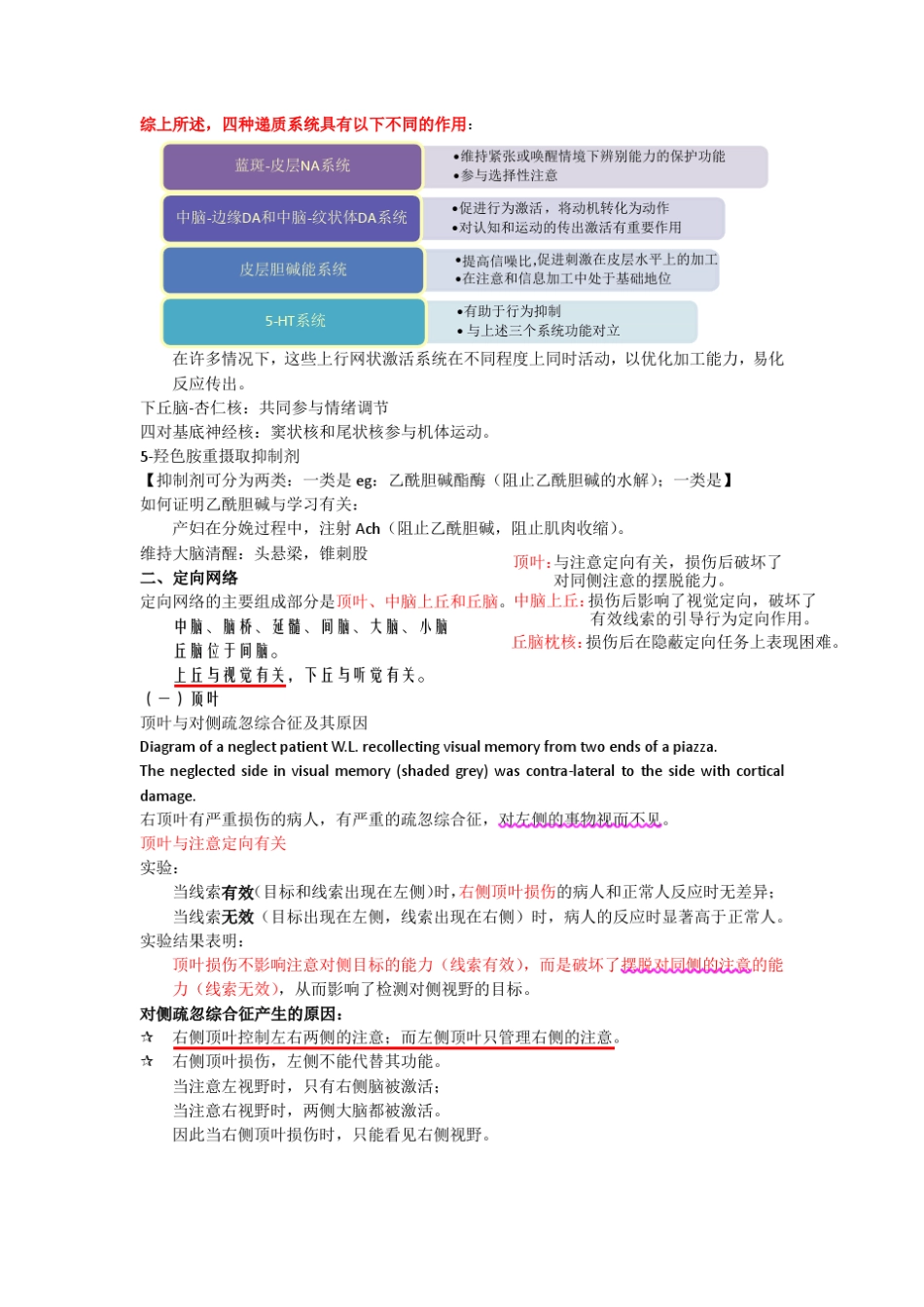 注意的神经机制_第3页