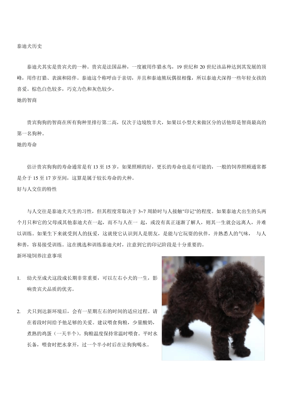 泰迪犬的饲养手册(图文自制)_第2页