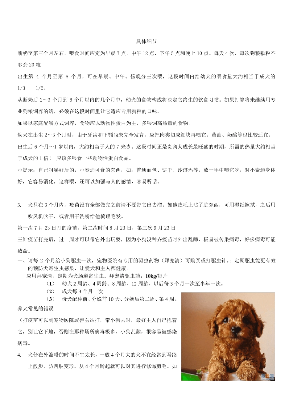 泰迪犬的饲养手册(图文自制)_第3页