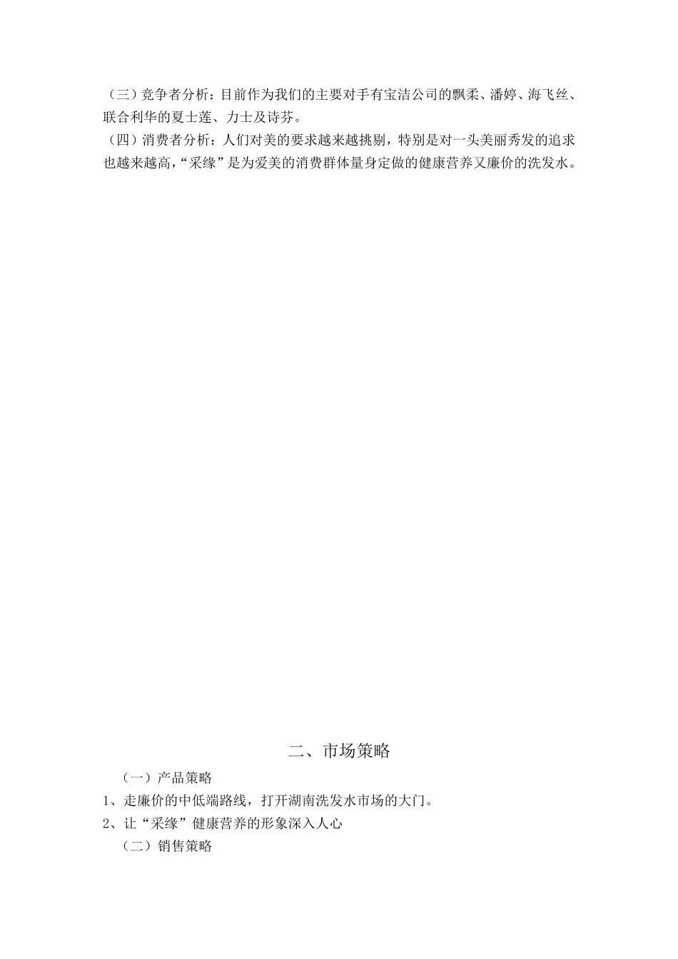 洗发露广告策划方案_第3页