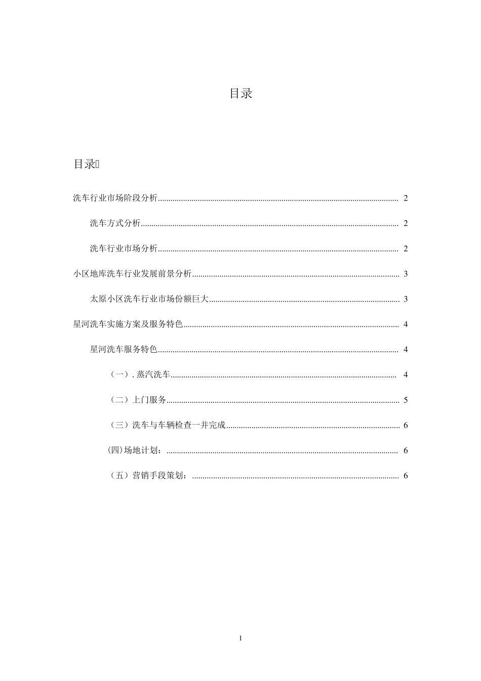 洗车行策划方案_第2页