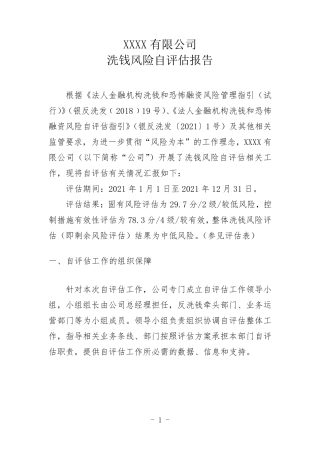 洗钱风险自评估报告