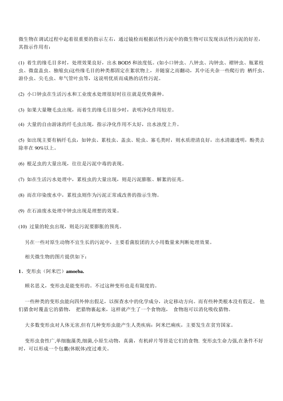 活性污泥常见的微生物_第1页