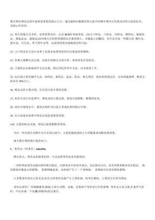 活性污泥常见的微生物