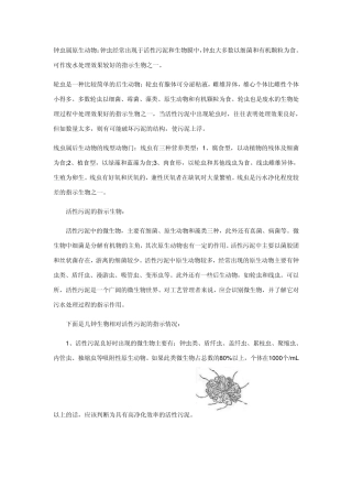 活性污泥的指示生物1