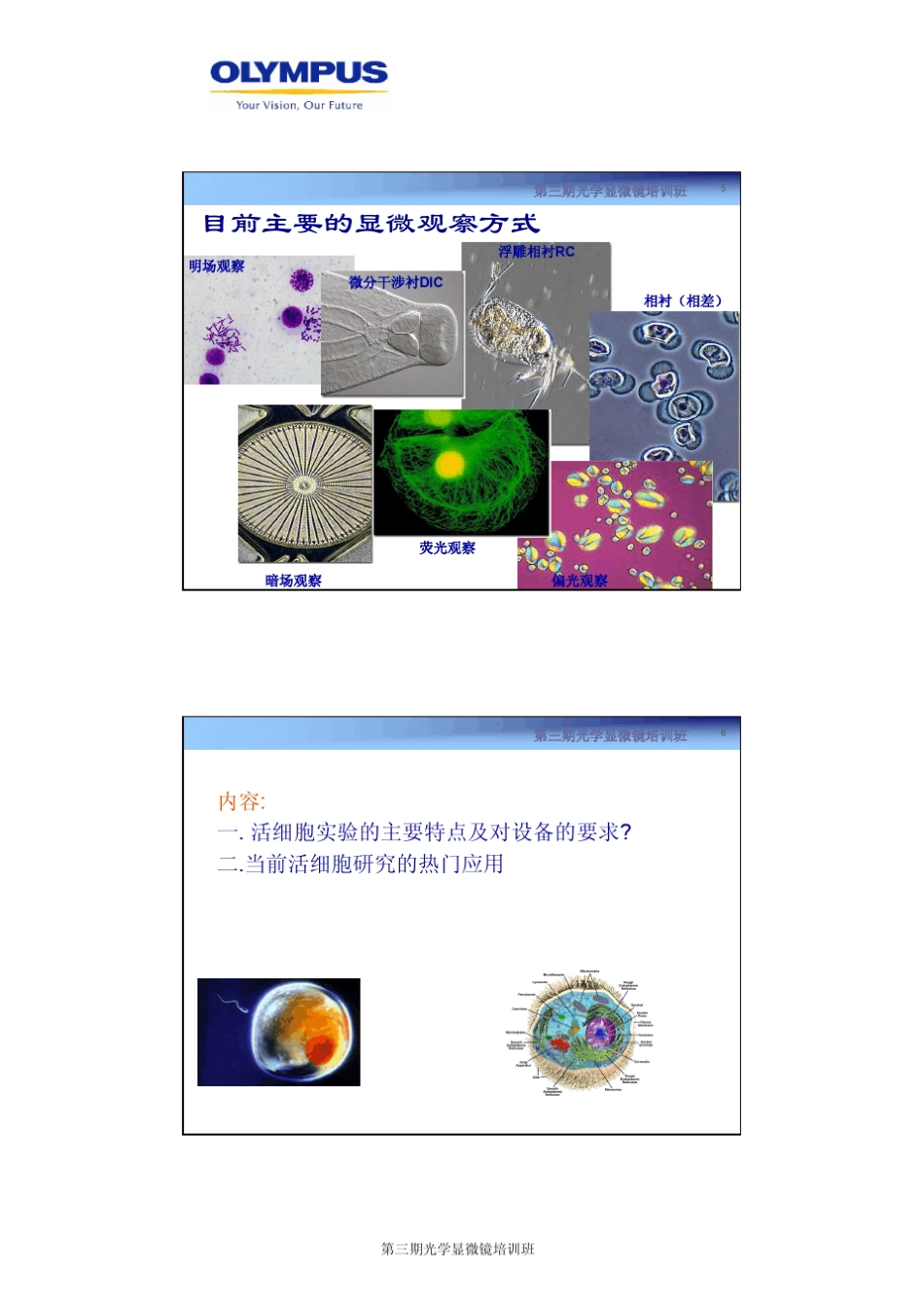活细胞工作站与应用——孟丽丽_第3页