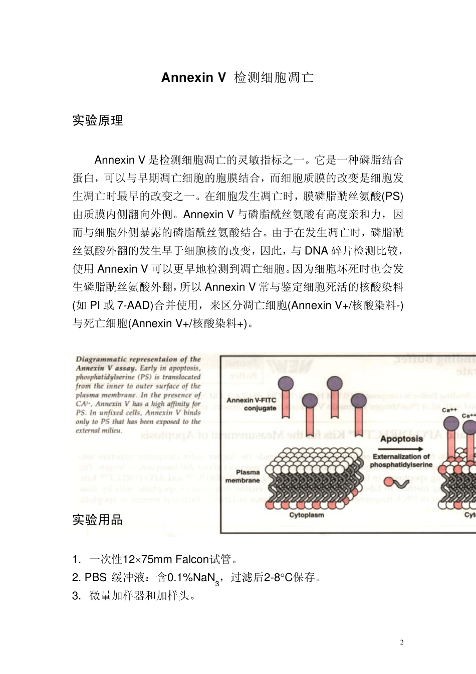 流式细胞仪检测细胞凋亡操作流程_第2页
