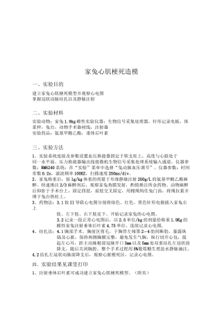 家兔心肌梗死造模