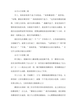 蘑菇生长日记1精选