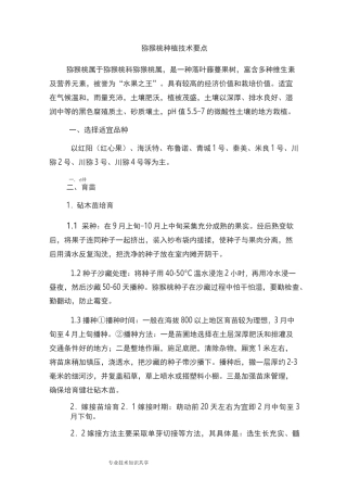 猕猴桃种植技术要点