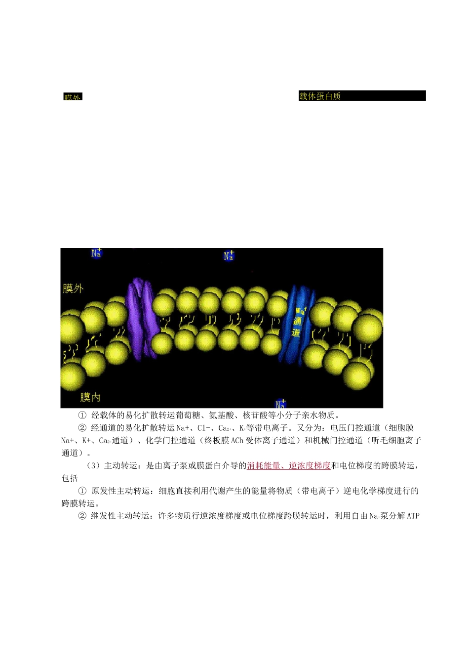 生理学重点知识点总结_第2页