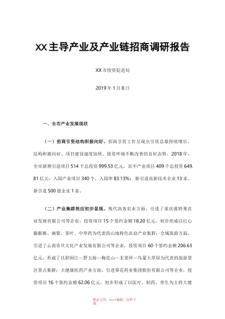 主导产业及产业链招商调研报告