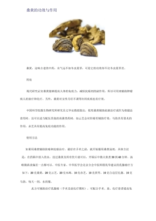 桑黄的功效与作用