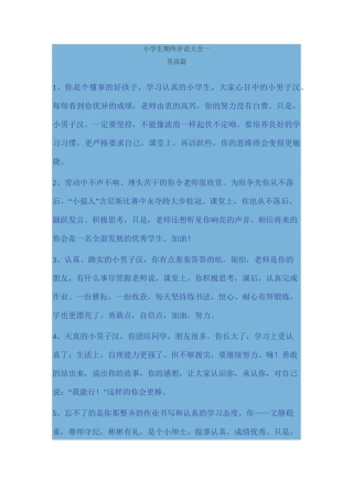 学生评语 男孩篇