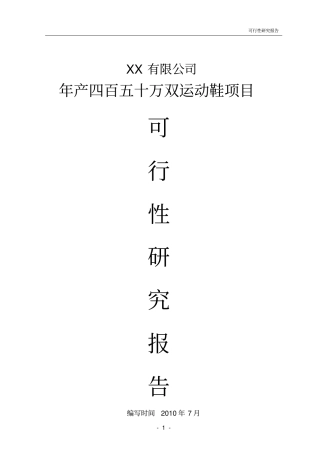 运动鞋项目可行性研究报告