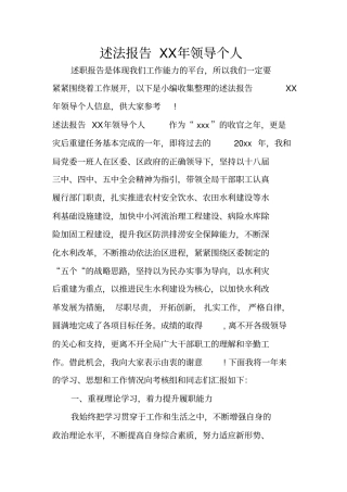 述法报告XX年领导个人