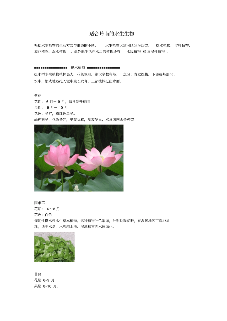 适合岭南的水生植物和水边植物_第1页