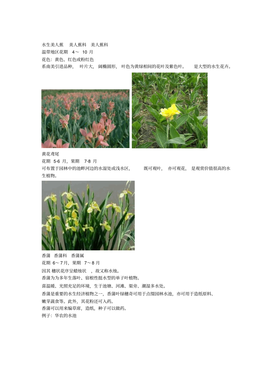 适合岭南的水生植物和水边植物_第3页