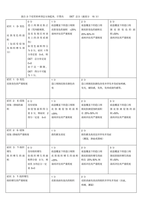 造口周围皮肤评价工具DET评价表