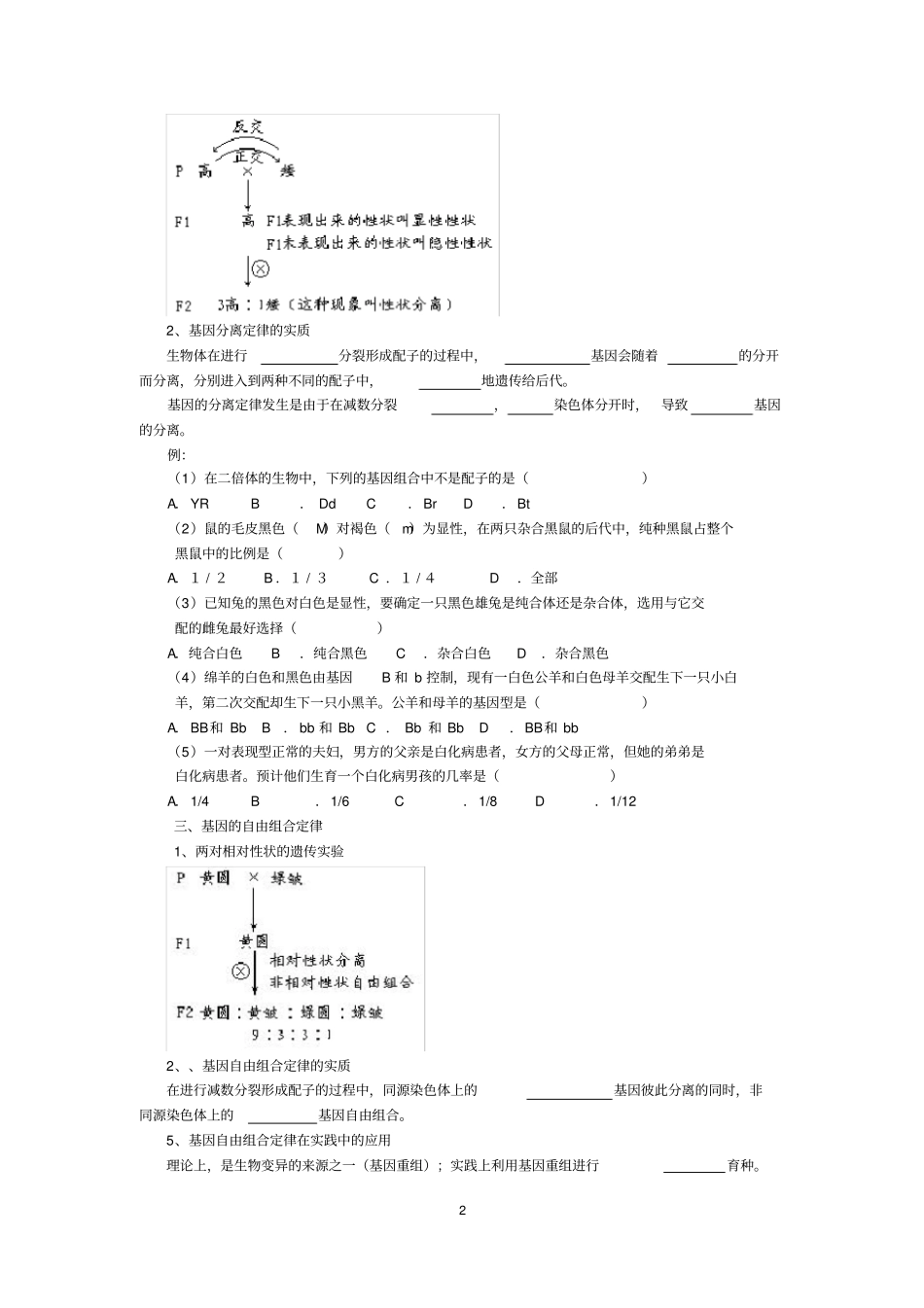 遗传与变异知识讲解_第2页