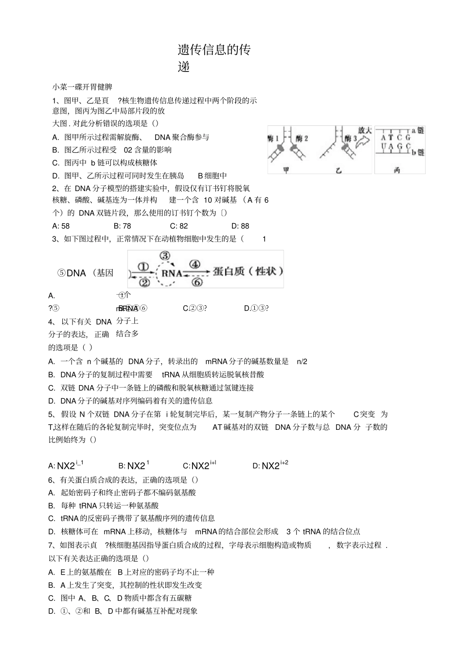 遗传信息的传递_第1页