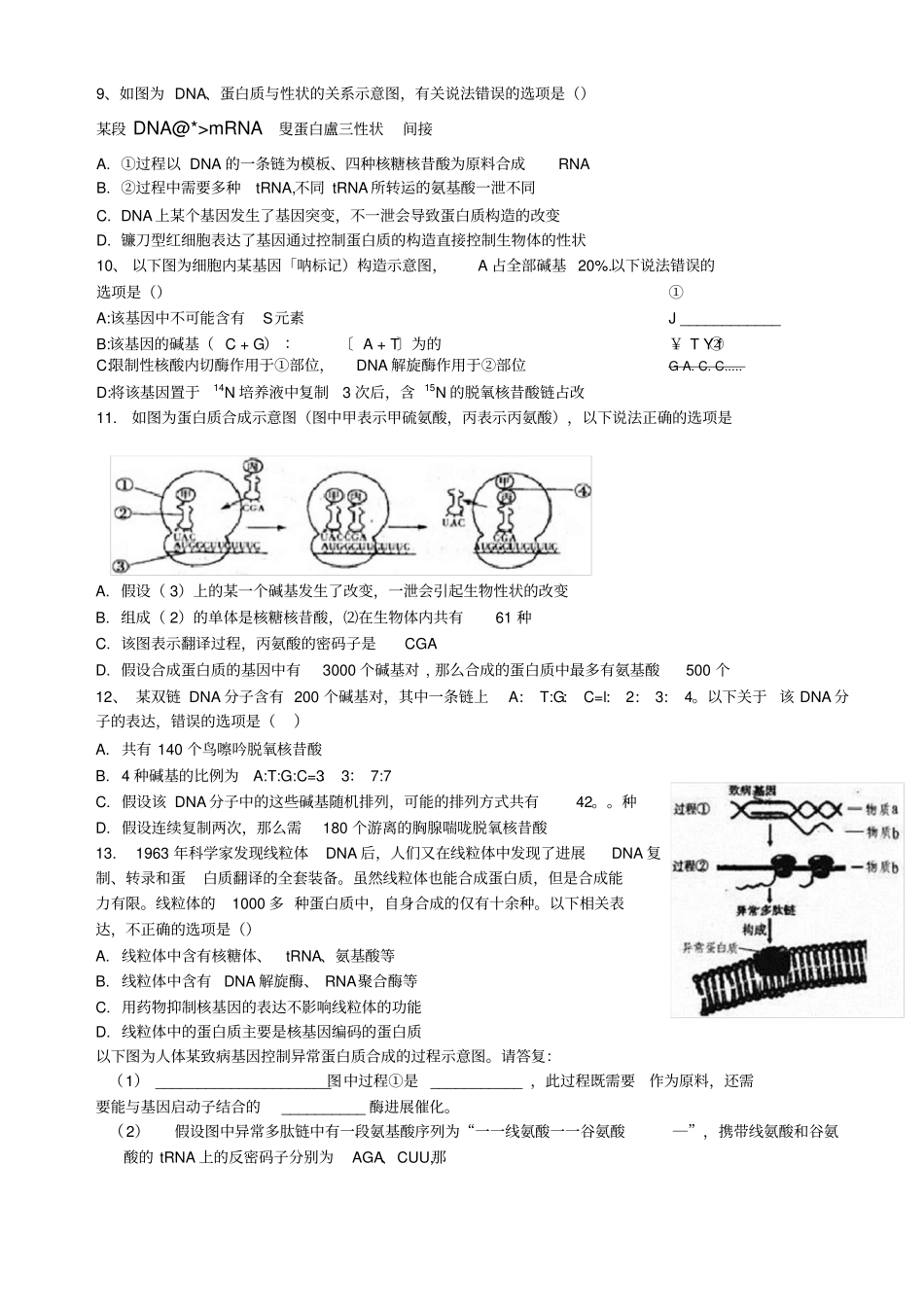 遗传信息的传递_第3页