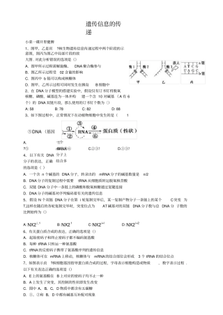遗传信息的传递