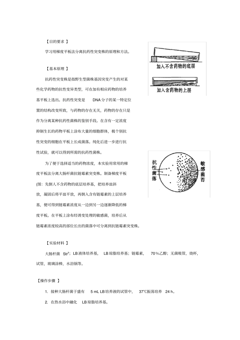 遗传育种试验_第2页