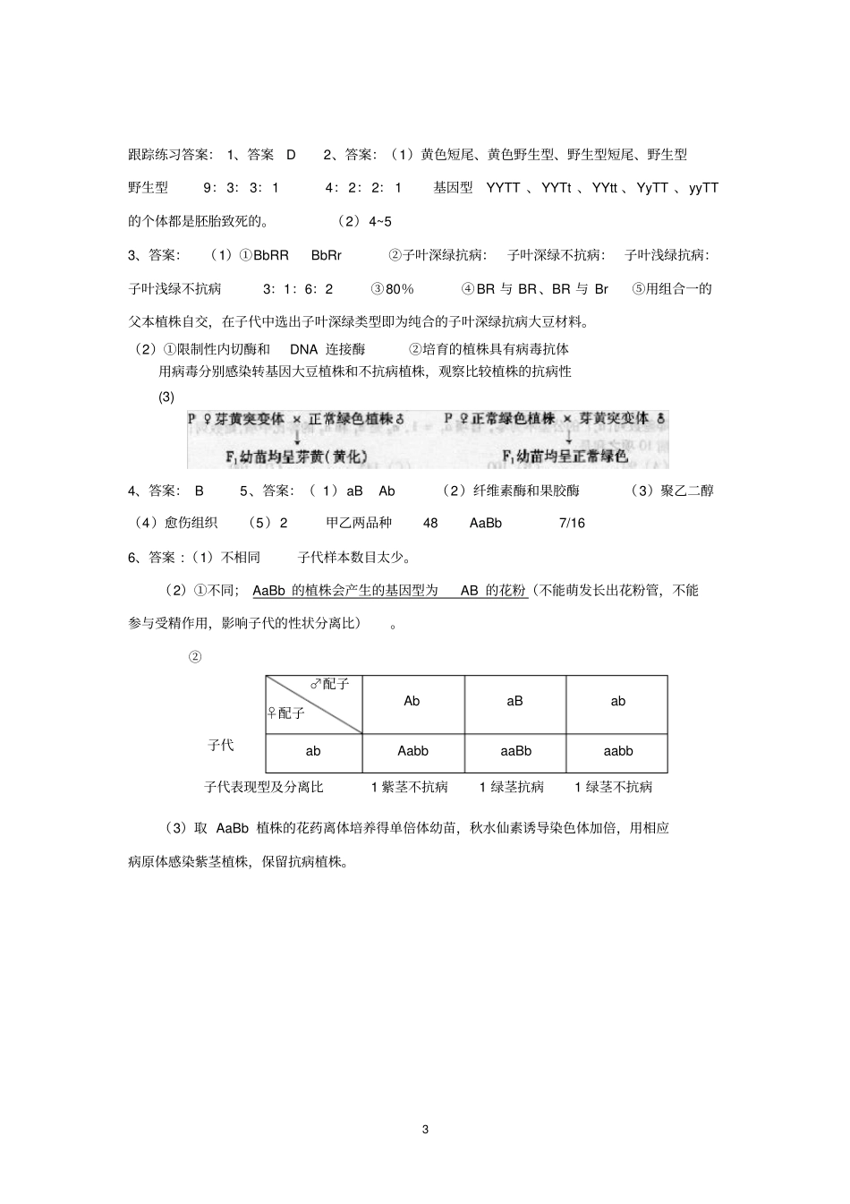 遗传试题中的有关致死现象练习题_第3页