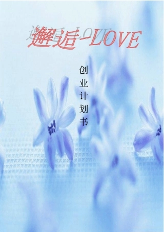 邂逅love可行性研究报告