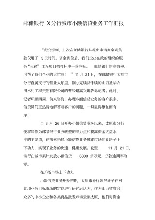 邮储银行X分行城小额信贷业务工作汇报