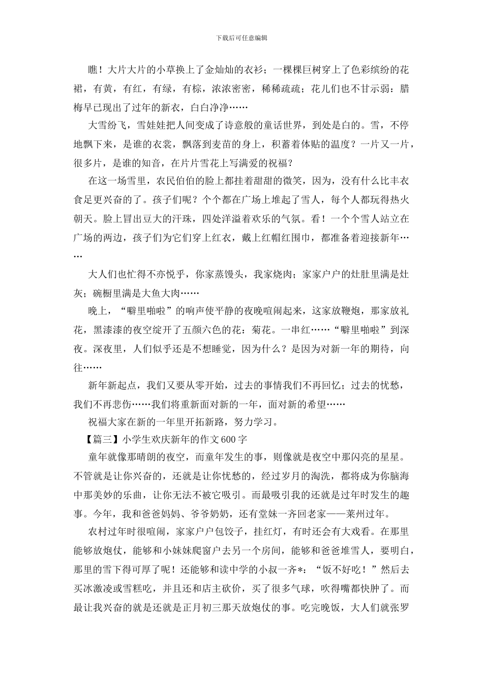 小学生欢庆新年的作文600字_第2页