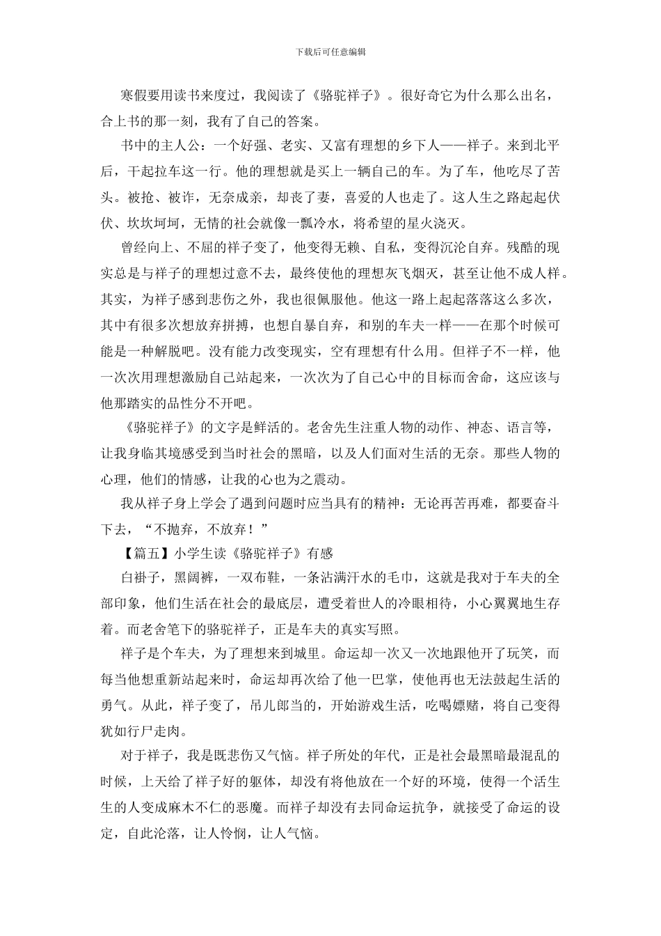 小学生读《骆驼祥子》有感_第3页