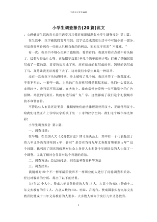 小学生调查报告范文