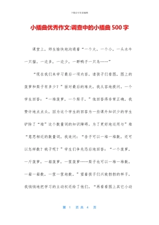 小插曲优秀作文