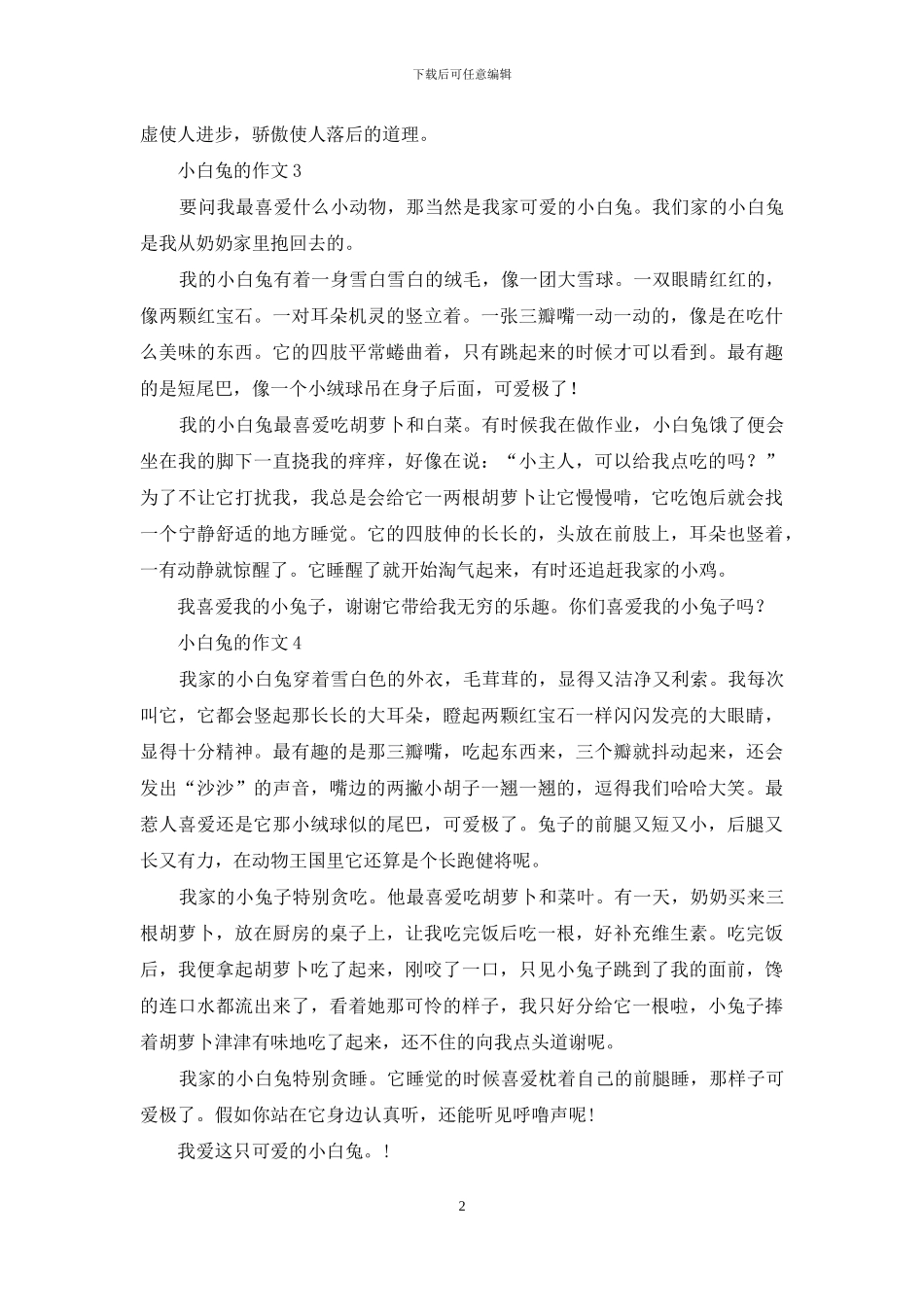 小白兔的作文15篇_第2页