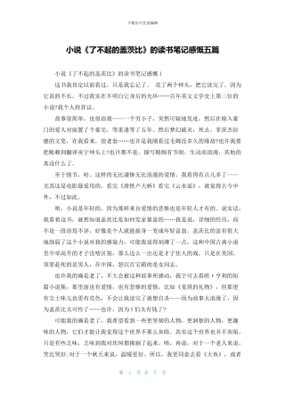 小说《了不起的盖茨比》的读书笔记感慨五篇