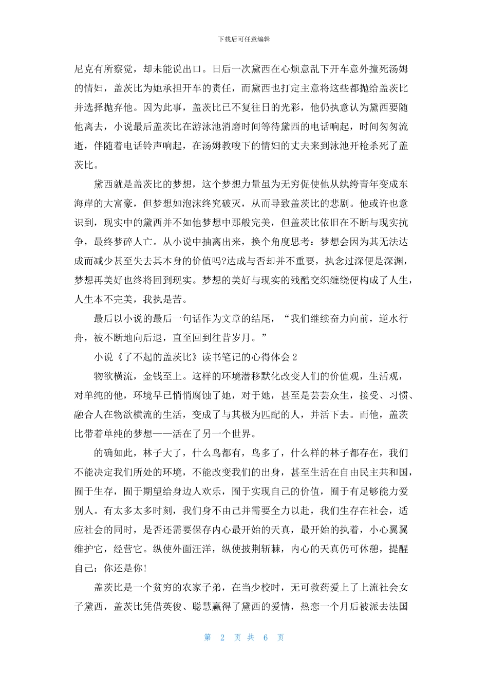 小说《了不起的盖茨比》读书笔记的心得体会五篇_第2页