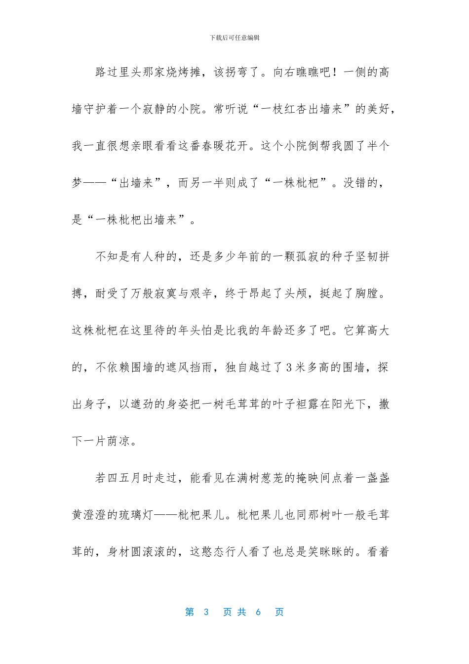 小路我童年的世界作文_第3页