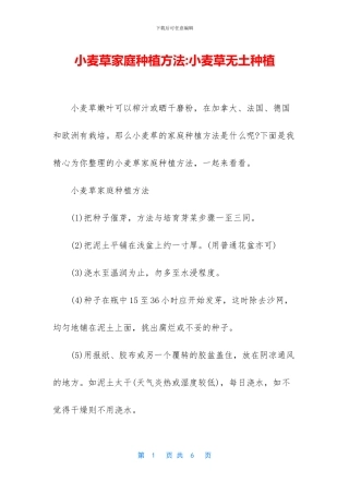 小麦草家庭种植方法