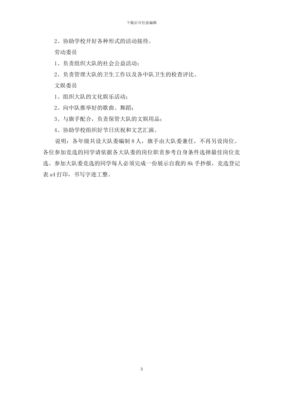 少先队大队委竞选方案_第3页