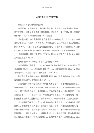 尿素项目可行性计划