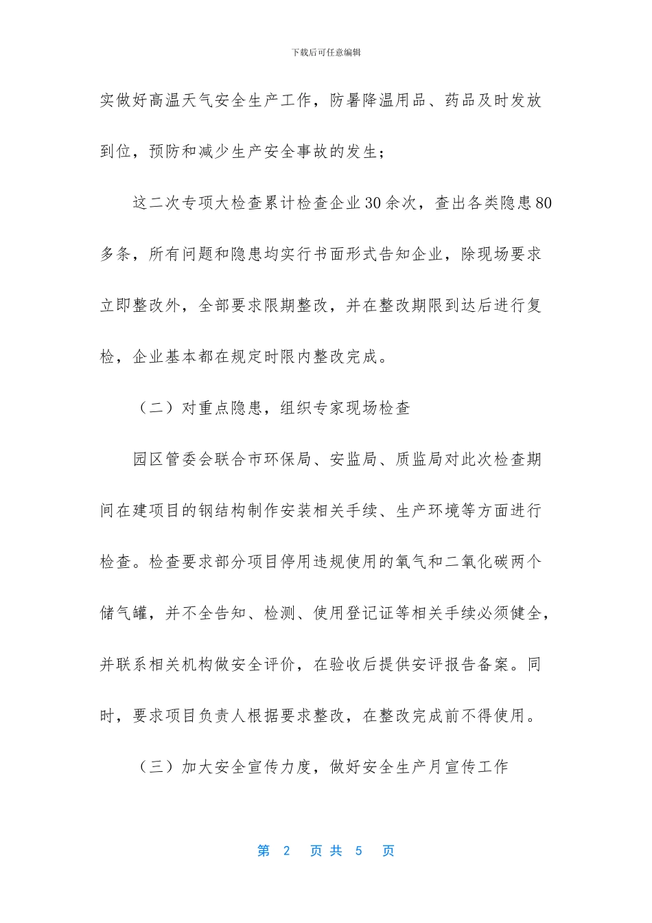 工业园安全生产大检查工作总结_第2页