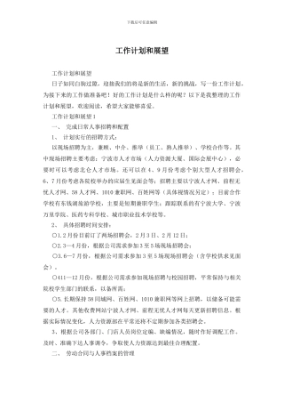 工作计划和展望