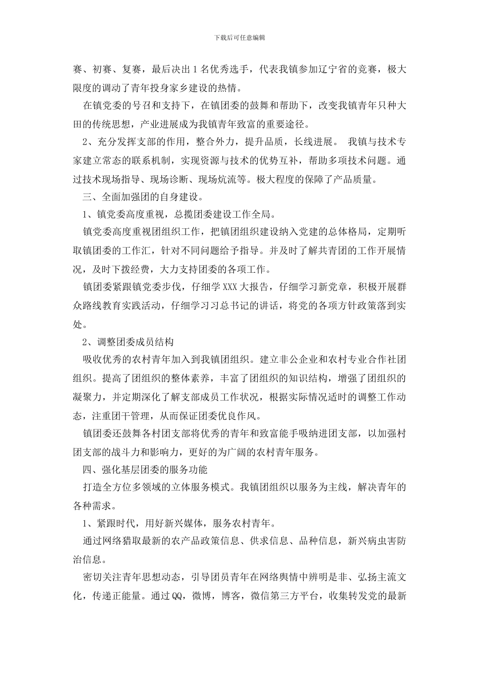 市共青团工作总结_第3页